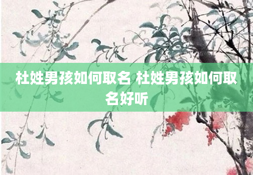 杜姓男孩如何取名 杜姓男孩如何取名好听