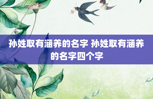 孙姓取有涵养的名字 孙姓取有涵养的名字四个字