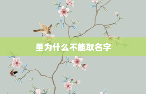 呈为什么不能取名字