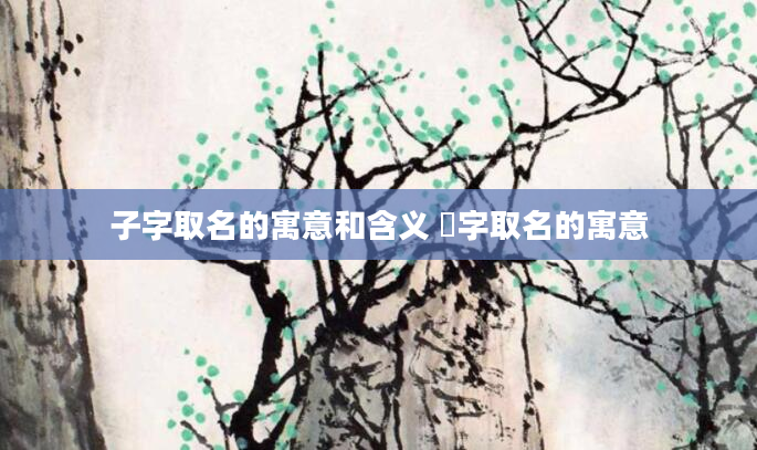 子字取名的寓意和含义 璟字取名的寓意