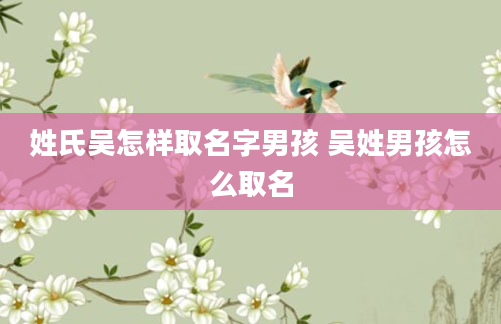 姓氏吴怎样取名字男孩 吴姓男孩怎么取名