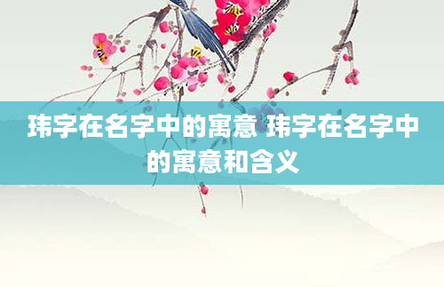 玮字在名字中的寓意 玮字在名字中的寓意和含义