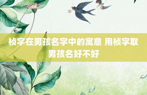 桢字在男孩名字中的寓意 用桢字取男孩名好不好
