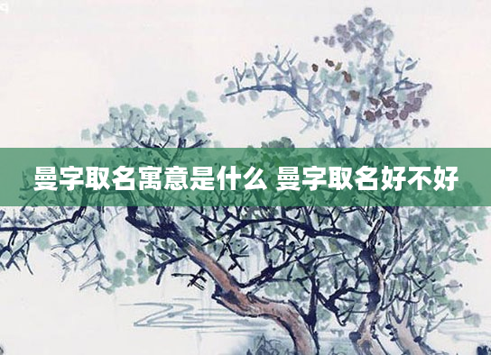 曼字取名寓意是什么 曼字取名好不好