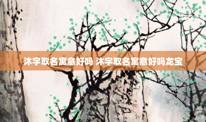 沐字取名寓意好吗 沐字取名寓意好吗龙宝
