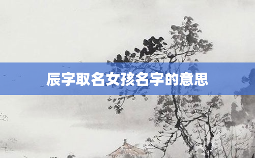 辰字取名女孩名字的意思