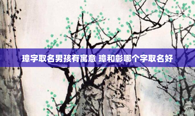 璋字取名男孩有寓意 璋和彰哪个字取名好