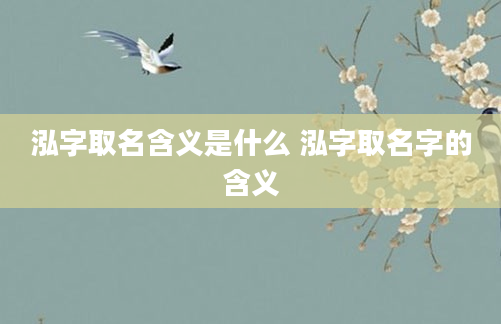 泓字取名含义是什么 泓字取名字的含义