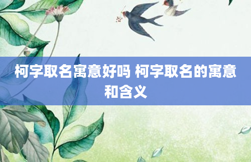 柯字取名寓意好吗 柯字取名的寓意和含义