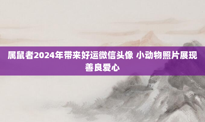 属鼠者2024年带来好运微信头像 小动物照片展现善良爱心