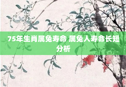 75年生肖属兔寿命 属兔人寿命长短分析