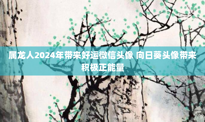 属龙人2024年带来好运微信头像 向日葵头像带来积极正能量