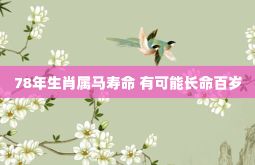 78年生肖属马寿命 有可能长命百岁