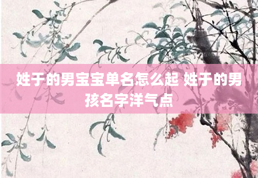 姓于的男宝宝单名怎么起 姓于的男孩名字洋气点