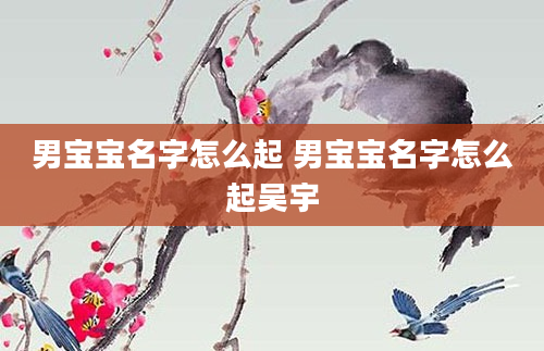 男宝宝名字怎么起 男宝宝名字怎么起吴宇