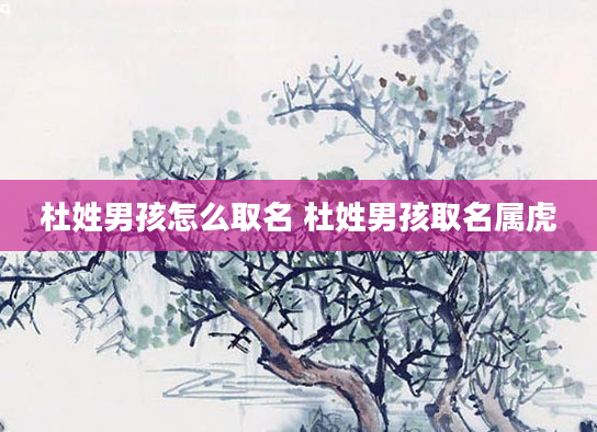 杜姓男孩怎么取名 杜姓男孩取名属虎