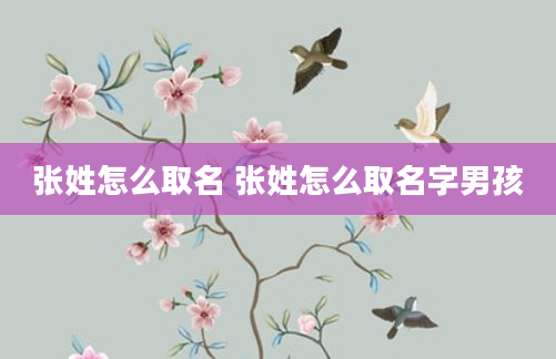 张姓怎么取名 张姓怎么取名字男孩