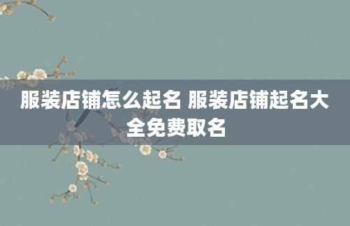 服装店铺怎么起名 服装店铺起名大全免费取名