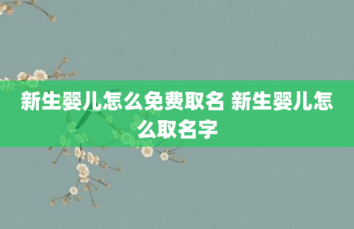 新生婴儿怎么免费取名 新生婴儿怎么取名字