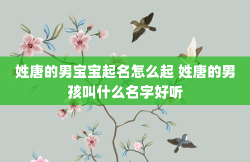 姓唐的男宝宝起名怎么起 姓唐的男孩叫什么名字好听