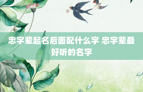 忠字辈起名后面配什么字 忠字辈最好听的名字