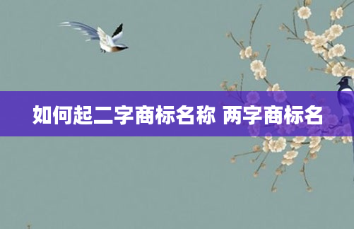 如何起二字商标名称 两字商标名