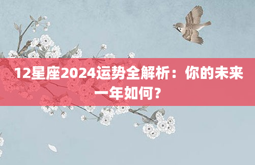 12星座2024运势全解析：你的未来一年如何？
