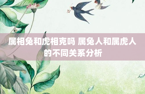 属相兔和虎相克吗 属兔人和属虎人的不同关系分析