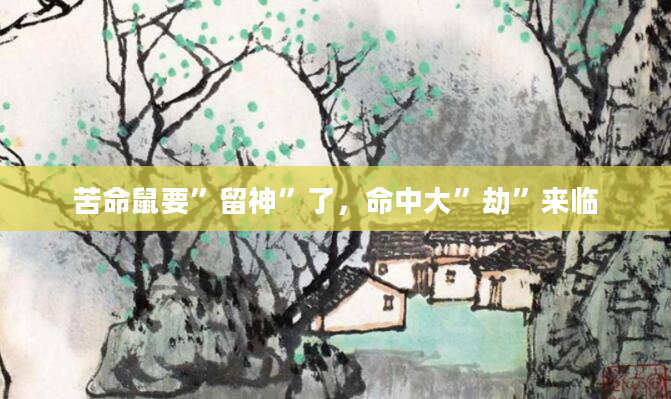 苦命鼠要”留神”了，命中大”劫”来临