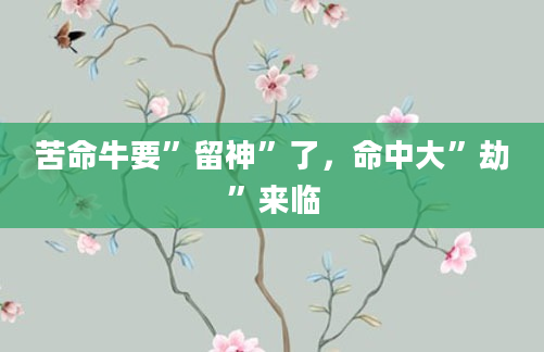 苦命牛要”留神”了，命中大”劫”来临