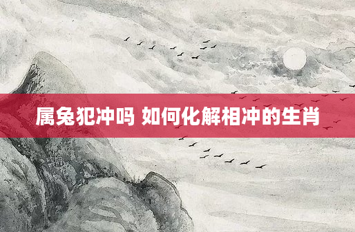 属兔犯冲吗 如何化解相冲的生肖