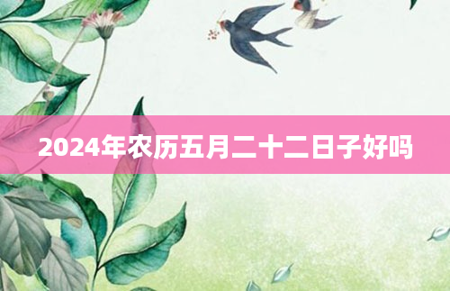 2024年农历五月二十二日子好吗