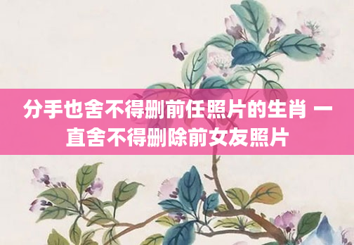 分手也舍不得删前任照片的生肖 一直舍不得删除前女友照片