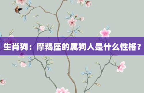 生肖狗：摩羯座的属狗人是什么性格？