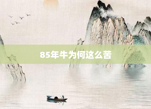 85年牛为何这么苦