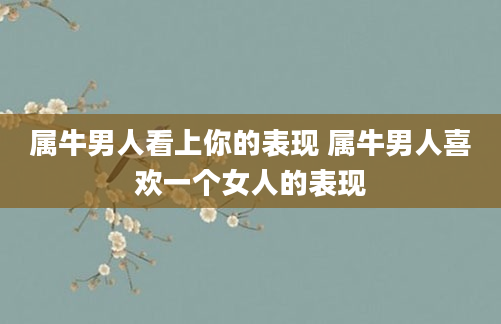 属牛男人看上你的表现 属牛男人喜欢一个女人的表现
