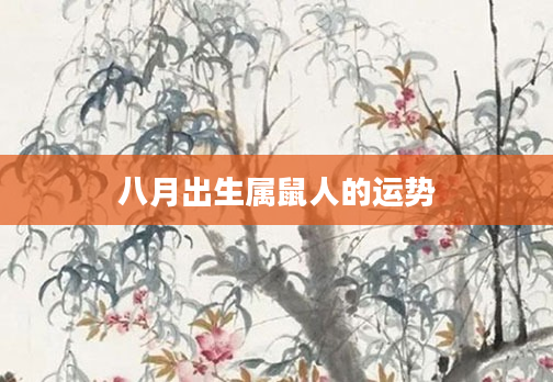 八月出生属鼠人的运势