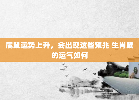 属鼠运势上升，会出现这些预兆 生肖鼠的运气如何