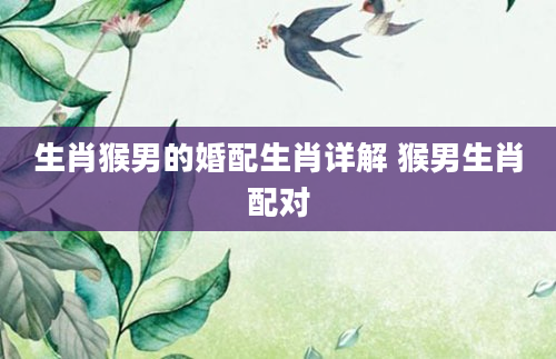 生肖猴男的婚配生肖详解 猴男生肖配对