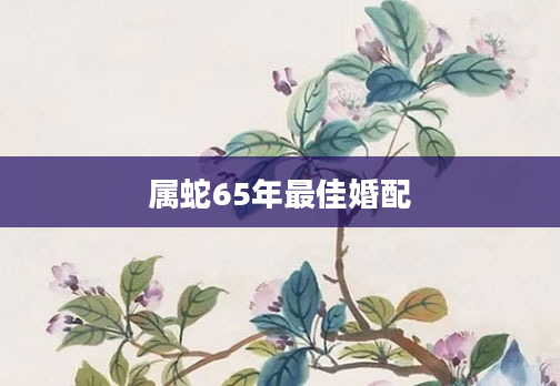 属蛇65年最佳婚配