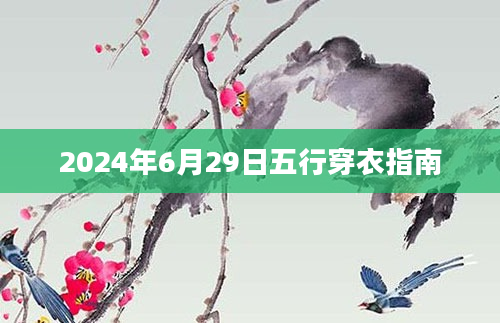 2024年6月29日五行穿衣指南
