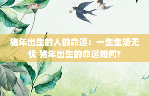 猪年出生的人的命运：一生生活无忧 猪年出生的命运如何?
