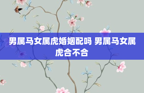 男属马女属虎婚姻配吗 男属马女属虎合不合
