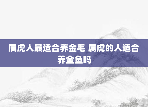 属虎人最适合养金毛 属虎的人适合养金鱼吗