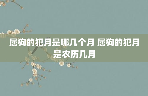 属狗的犯月是哪几个月 属狗的犯月是农历几月