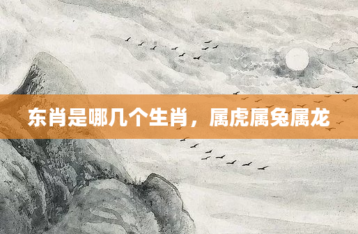东肖是哪几个生肖，属虎属兔属龙
