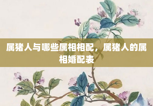 属猪人与哪些属相相配，属猪人的属相婚配表