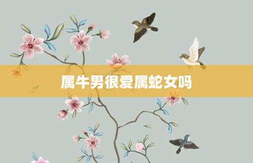 属牛男很爱属蛇女吗