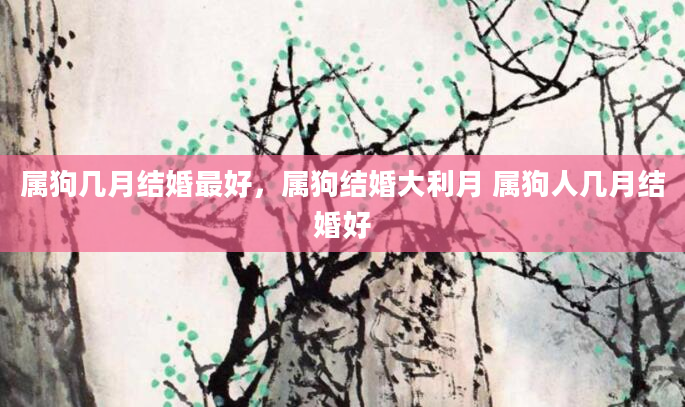 属狗几月结婚最好，属狗结婚大利月 属狗人几月结婚好