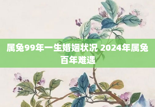 属兔99年一生婚姻状况 2024年属兔百年难遇